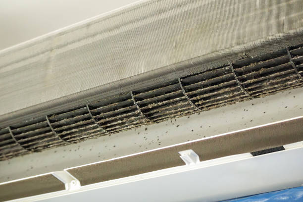 Best Commercial Air Duct Cleaning  in South Bend, WA
